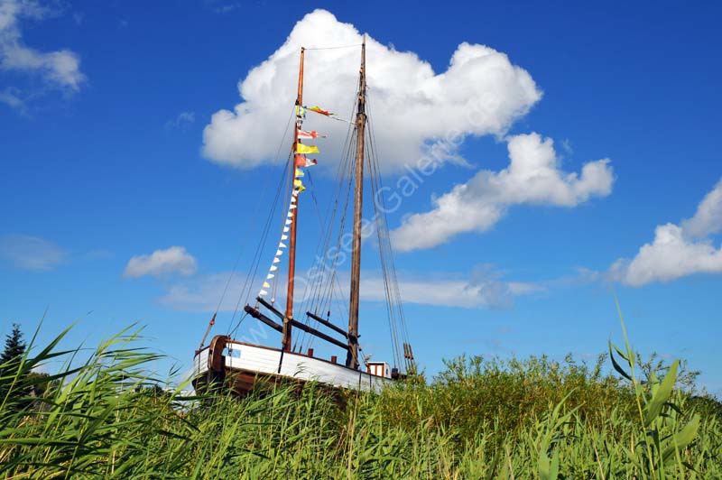 Hafen_Zingst_200708_5