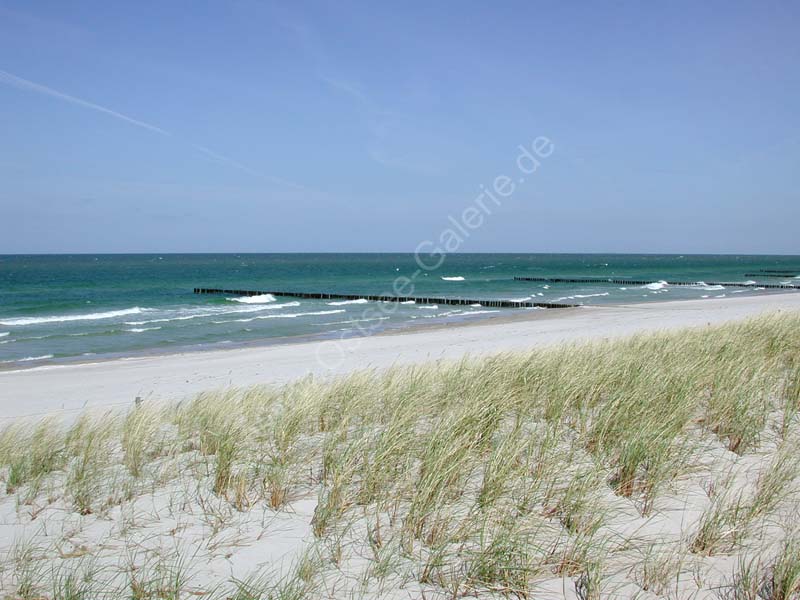 Ostsee_Strand_Duene