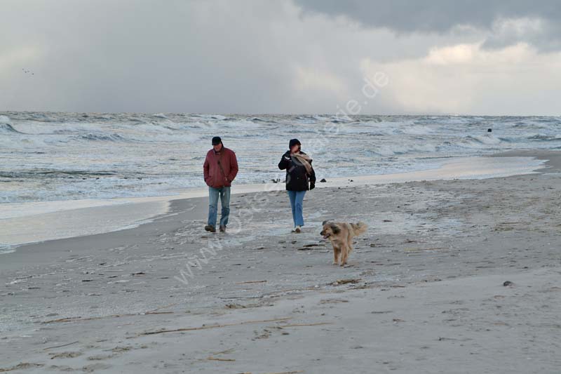 Spaziergaenger_winterlicher_Strand_mit_Hund